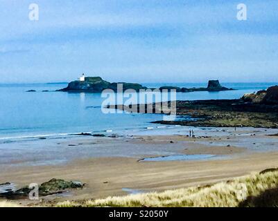 L'isola di Fidra, sulla costa a est di Edimburgo. Foto Stock