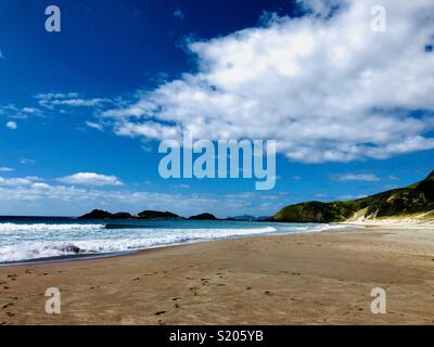 Bella spiaggia dell'oceano, un lungo 6 km, Bianco Surfer Beach, Whangarei teste, Isola del nord, Nuova Zelanda e Sud Pacifico Foto Stock