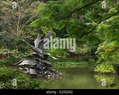 Il lago dei cigni al Singapore Botanic Gardens, Singapore, Foto Stock