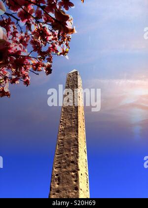 Tempo di primavera a Cleopatra Needle circondato da rosa fiori di magnolia, Central Park, New York, Stati Uniti d'America Foto Stock