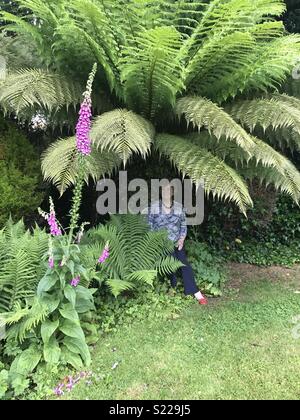 Signora donna seduta sotto la palma nel paese di lingua inglese giardino con fiori inquadrare la scena in East Sussex rotherfield garden Foto Stock