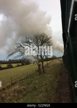 Treno a vapore che ride, Isola di Wight Foto Stock