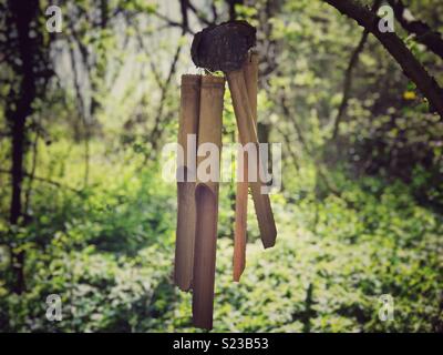 Vento in legno i suoni di avviso nella foresta Foto Stock