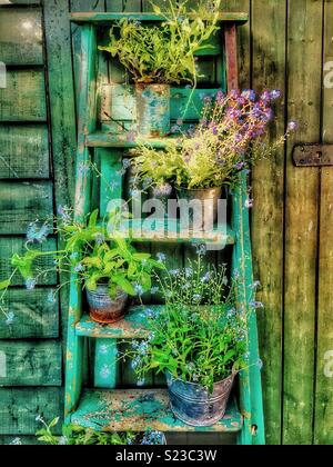 La scaletta del giardino con fiori. Foto Stock