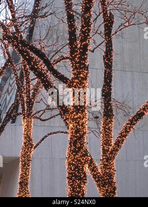 New York alberi con le luci fairy Foto Stock