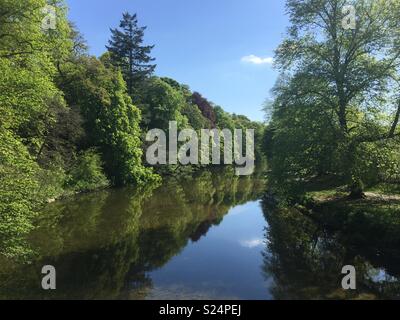 Molla in Hawick Foto Stock