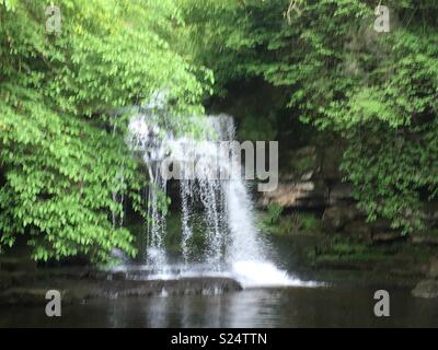 Di West Burton cade Foto Stock