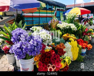 Shopping il colorato mercato dei fiori in Antigua, Guatemala Foto Stock