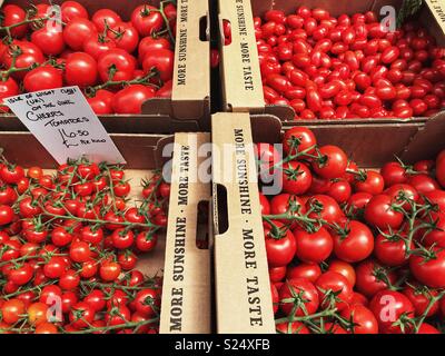 Differenti varietà di pomodoro per la vendita in un inglese farm shop, visualizzato allentato in eco-friendly scatole di cartone. Foto Stock