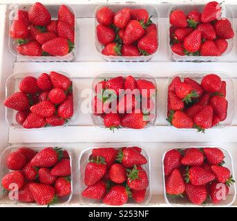 Punnets delle fragole per la vendita Foto Stock