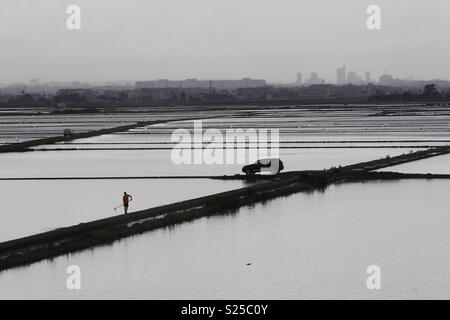 Un uomo che lavora in un campo di riso in La Albufera vicino a Valencia Foto Stock