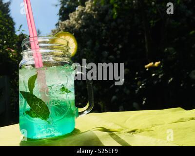 Waldmeister bere di ghiaccio freddo Foto Stock