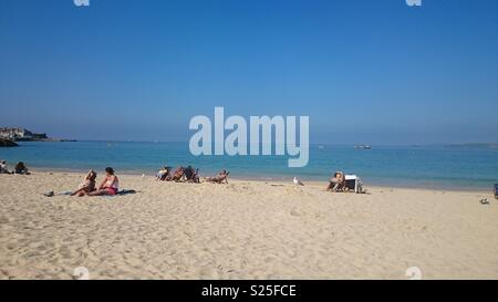 Lucertole da mare sulla spiaggia di Porthminster, St Ives, Cornwall Foto Stock