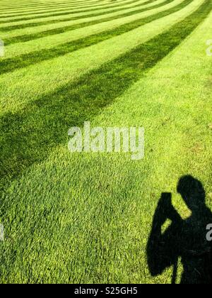 Selfie su uno appena falciata rolling hill Foto Stock