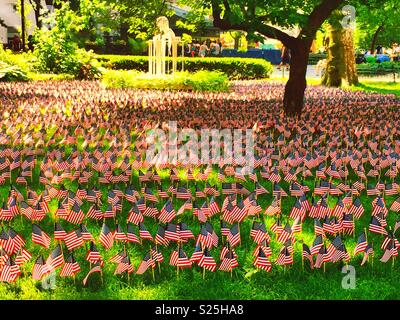 Un display di miniatura bandierine americane onorando morto militare memorial day, Madison Square Park, New York, Stati Uniti d'America Foto Stock