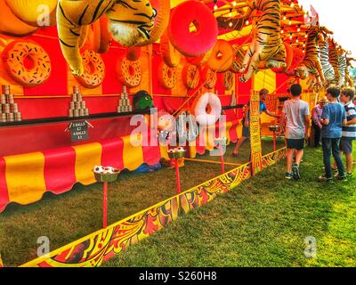 Gruppo di ragazzi a una noce di cocco timido stile di lato gioco di stallo all'annuale Sherborne Castle Country Fair, Sherborne, Dorset, Inghilterra Foto Stock