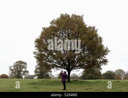 Stourhead Foto Stock
