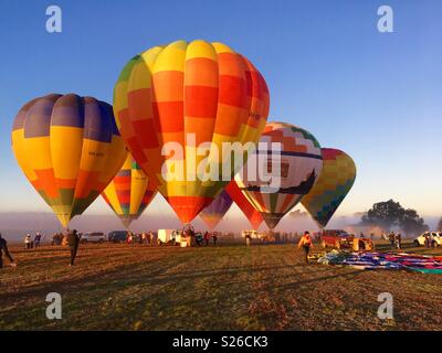 Hot Air Balloon Festival la mattina presto in Australia Foto Stock