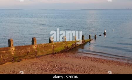 Una vista dalla riva di ghiaia a Westcliff on Sea, con dolce sciabordare di onde e due fuori fuoco gabbiani al di fuori di un groyne in legno. Osservate in primavera. Foto Stock