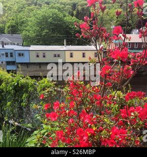 Una vista dal ponte di fiori, Shelburne Falls, Massachusetts, Stati Uniti Foto Stock