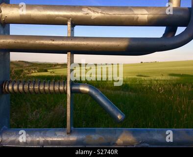 L'erba è più verde sull'altro lato Foto Stock