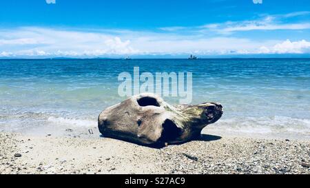 Ocean Driftwood Log Foto Stock