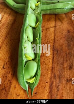 Aprire Largo Bean Pod su una tavola di legno Foto Stock
