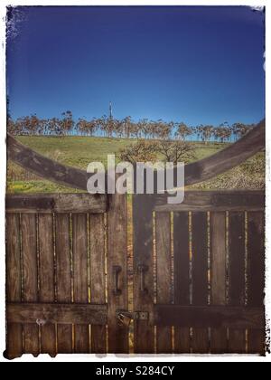 Cancelli di Church Street Orti & Park collettivo, Tulbagh, Provincia del Capo Occidentale, Sud Africa. Foto Stock