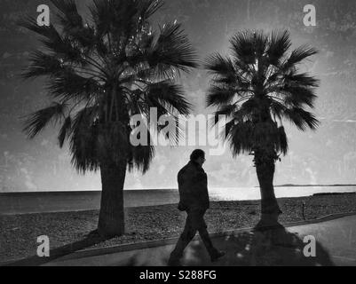 Un uomo solitario passeggiate lungo un percorso accanto a due alberi di palma. Un immagine che evoca sentimenti di solitudine e di vulnerabilità. Credito foto - © COLIN HOSKINS. Foto Stock