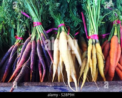 I grappoli di diverso colore carote patrimonio su un mercato in stallo Foto Stock