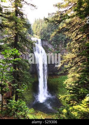 Salt Creek Falls in Willamette National Forest in Oregon, USA. Foto Stock