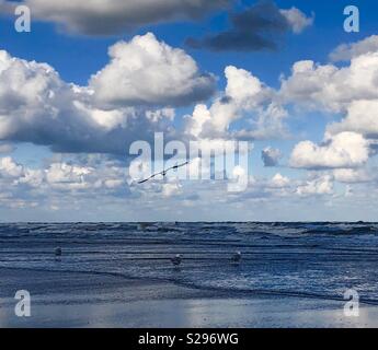 Costa Katwijk nl Foto Stock