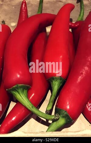 Close up chilis rosso Foto Stock
