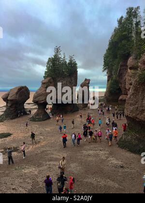 Hopewell Rocks in New Brunswick a bassa marea in Canada Foto Stock