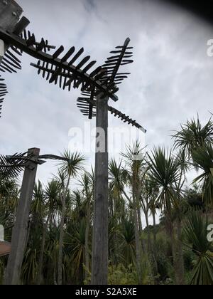 In legno di alberi di palma tra palme vere all'Eden Project in Cornovaglia Foto Stock