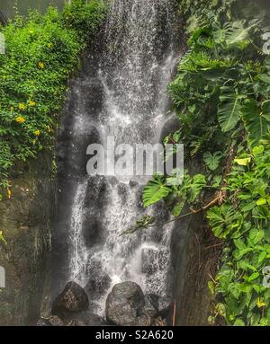 Cascata all'interno del biome tropicale all'Eden Project in Cornovaglia Foto Stock