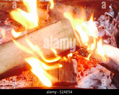 Fuoco in una fossa all'esterno. Fiamme leccare logs con la cenere in background Foto Stock