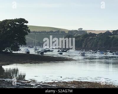 Barche in Salcombe estuario Foto Stock