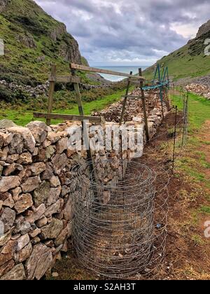 Stalattite parete sotto la nuova costruzione, Gower, South West Wales, Settembre. Foto Stock