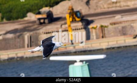 Seagull è volo al porto di Amburgo Foto Stock