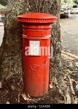 Postbox con un grande albero che cresce intorno ad esso Foto Stock