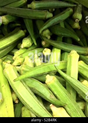 L'okra fresco in london Asian supermercato Foto Stock