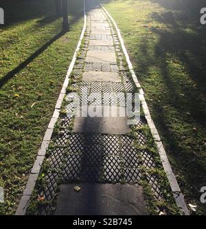 Il sentiero conduce attraverso il sole e l'ombra. Foto Stock