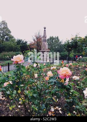 Letto di Rose in autunno a Clissold Park, Stoke Newington, a nord di Londra, Regno Unito Foto Stock