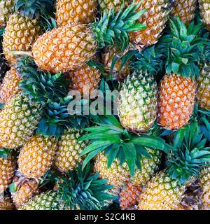 Ananassi freschi presso i mercati dei prodotti alimentari Foto Stock