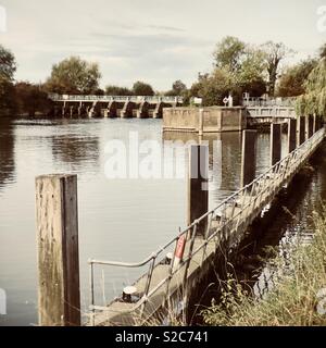 Vista sul fiume dal pubblico percorso a piedi parte del fiume Thames Path Dorchester on Thames vicino a Oxford Inghilterra Foto Stock