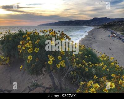 Avventure a Point Dume Foto Stock