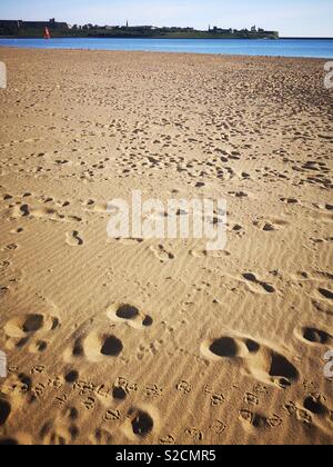 South Shields beach Foto Stock