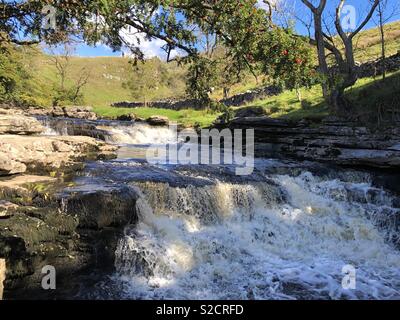 Piccole cascate sopra Thornton vigore a cascata Ingleton Waterfalls Trail Foto Stock