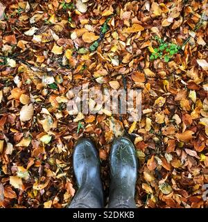 In piedi in foglie di autunno in wellingtons Foto Stock